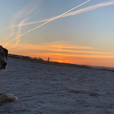 Deich Und In Apartamento