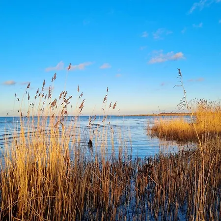 Apartment Deich Und In Stein (Schleswig-Holstein)