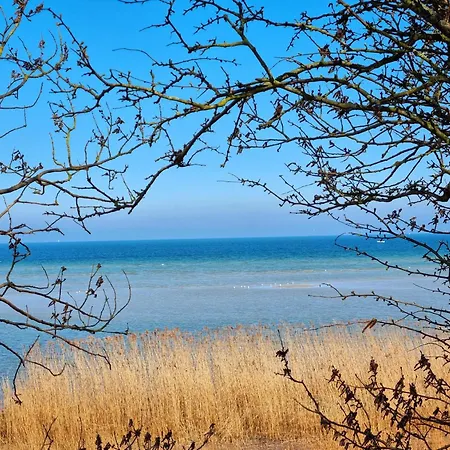 Deich Und In * Stein (Schleswig-Holstein)